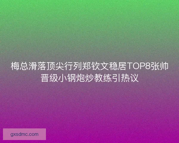 梅总滑落顶尖行列郑钦文稳居TOP8张帅晋级小钢炮炒教练引热议