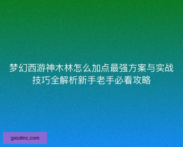 梦幻西游神木林怎么加点最强方案与实战技巧全解析新手老手必看攻略
