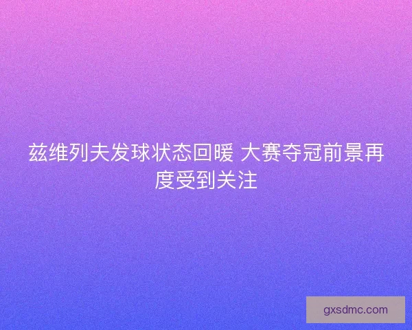 兹维列夫发球状态回暖 大赛夺冠前景再度受到关注