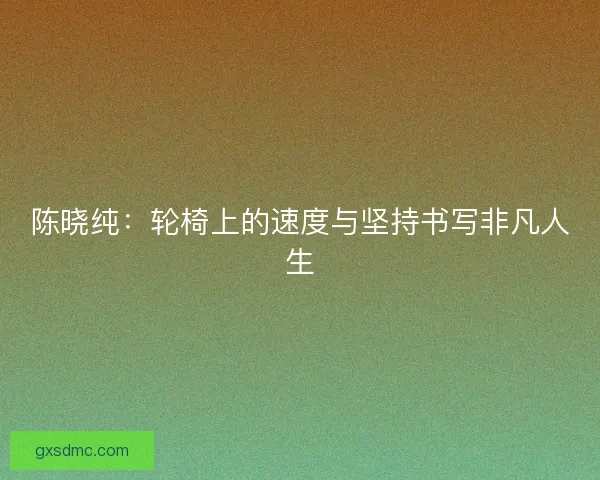 陈晓纯：轮椅上的速度与坚持书写非凡人生